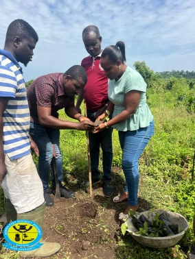 The Gomoa East District Assembly Staff joined in the Green Ghana Initiative