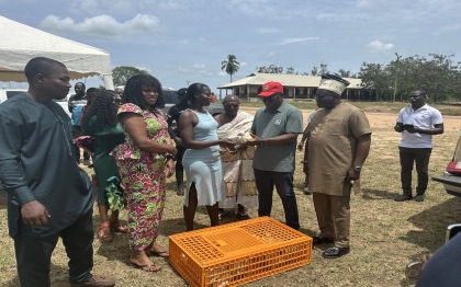 Distribution of nkoko nketenkete 