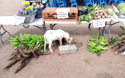 Farmers' Day - 2020