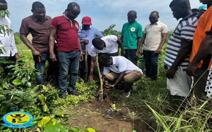 The Gomoa East District Assembly Staff joined in the Green Ghana Initiative