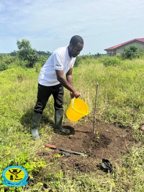 The Gomoa East District Assembly Staff joined in the Green Ghana Initiative
